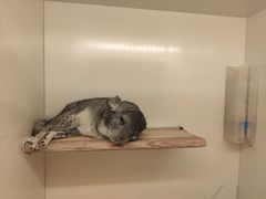 -龙猫仔乐园(惠福东路店)