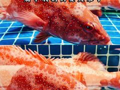 -新欢海鲜坊(赖屋店)