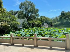 -杭州西子湖四季酒店·金沙厅