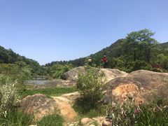 -藏龙百瀑风景区