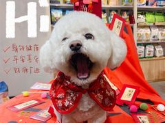 -宠物家(双井店)