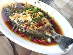 -阳光海鲜大排档