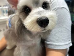 -FAELING PETS美天灵宠物(合生汇店)
