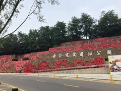 -西安曲江寒窑遗址公园
