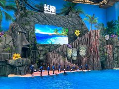 -珠海长隆海洋王国
