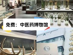 -北京中医药大学-中医药博物馆