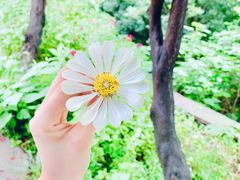 -雪山彩虹谷景区