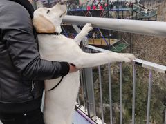 -梦幻奥陶纪景区