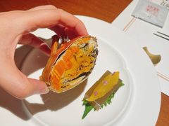 -觀芷隐轩