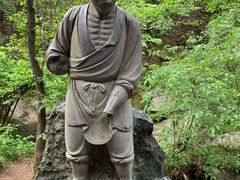 -王顺山国家森林公园