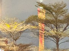 -广州塔