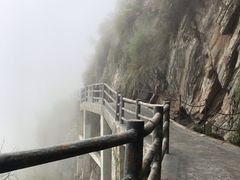 -少华山国家森林公园