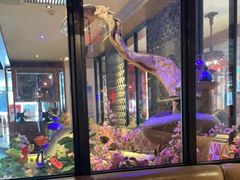 -江边城外烤全鱼(方庄时代购物中心店)