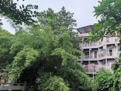 -黄埔古港