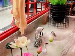 -禧鳳記·猪肚鸡火锅(玖洲道店)