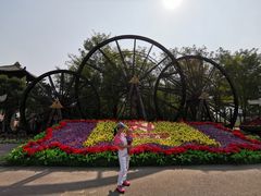 -呀路古热带植物园