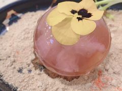 樱花啫喱-点都德(华强南店)