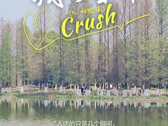 -艾溪湖湿地公园