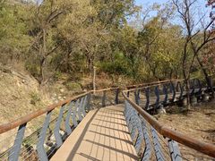 -白水寺森林公园