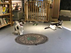 -小时光咖啡馆(开森度假森林店)