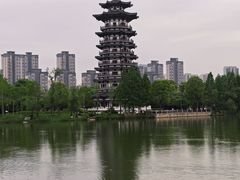 -洋湖国家湿地公园