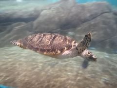 -福州罗源湾海洋世界旅游区