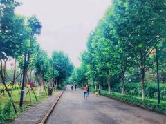 -大渡口区义渡公园