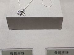 -迪庆藏族自治州博物馆