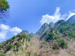 -青峰峡国家森林公园