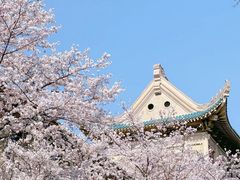 -武汉大学-樱园