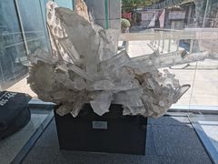-河南自然博物馆