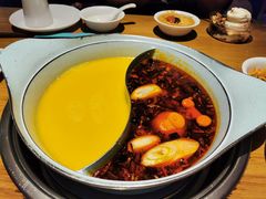 -青瓷火锅料理(西单大悦城店)