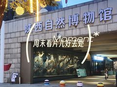 -陕西自然博物馆