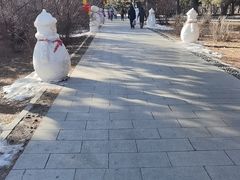-北陵公园