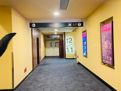 -华谊兄弟影院(IMAX洋桥店)