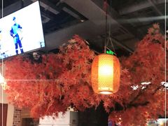 大堂-雲蜀龙阁·金牌水煮鱼(方庄店)