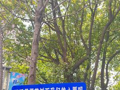 -高东镇樱花园