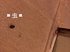 -中铁花水湾温泉酒店(大邑店)