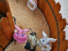 -珠海海泉湾神秘岛亲子乐园