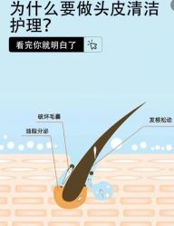 -Bollins波林丝•专研护发中心