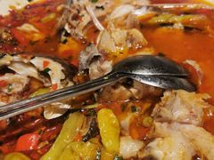 -坛宗剁椒鱼头(河西王府井店)