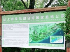 -上海吴淞炮台湾国家湿地公园