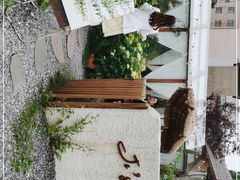 -Jo's Garden