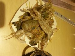 -蒙肥羊·酸汤潮牛·鲜牛肉火锅烤肉自助(岗顶店)