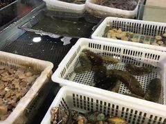 -老郑海鲜楼(天桥店)