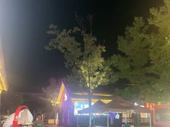 -鼎盛王朝康熙大典实景演出