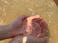 -天津东疆湾沙滩景区