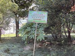 -上海昆虫博物馆