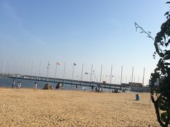 -碧海金沙