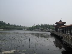 -南戴河国际娱乐中心